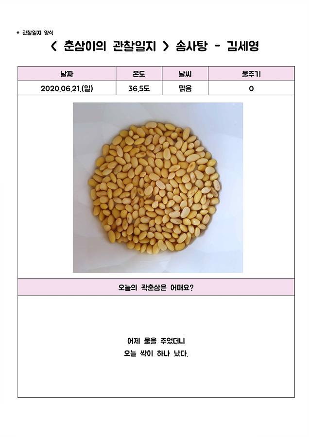 [비대면 활동 프로그램] 그린 메이트(Green Mate)